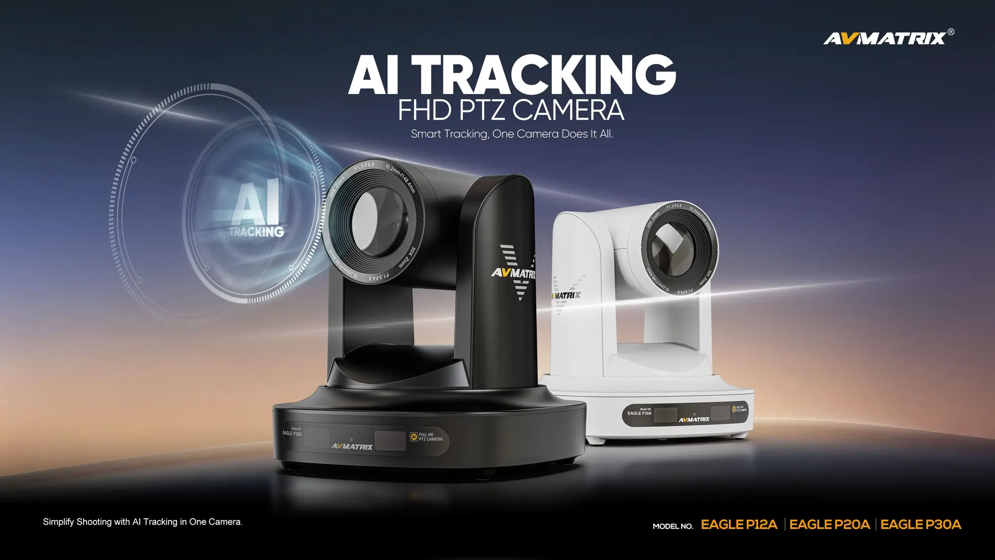 P12A, product overview