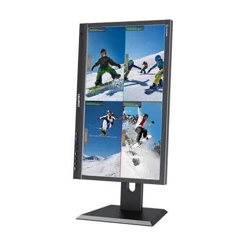 PVM220S, view 2